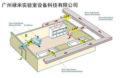 网络技术开发 驱动数字时代的引擎