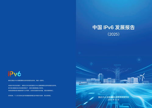 IPv6在我国实现跨越式突破 网络技术开发驱动2025年活跃用户达8.65亿